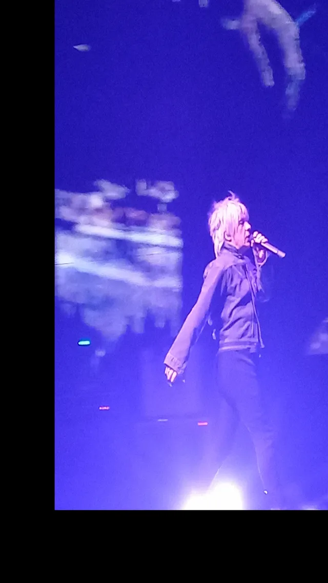Indochine arena tour à Toulouse