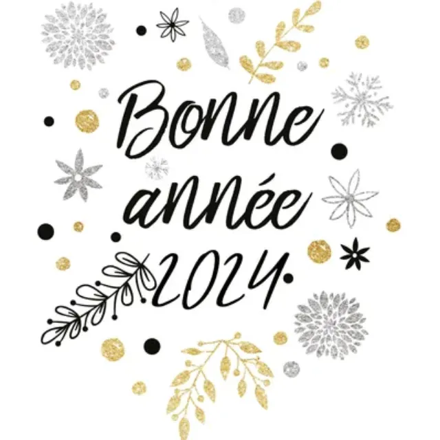 Bonne année à toutes et à tous !