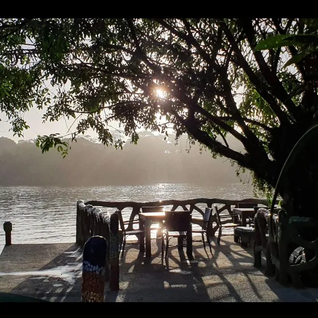 Pura vida