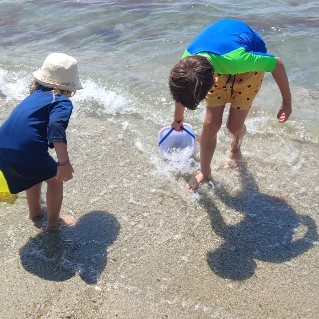 Plage du Morbihan