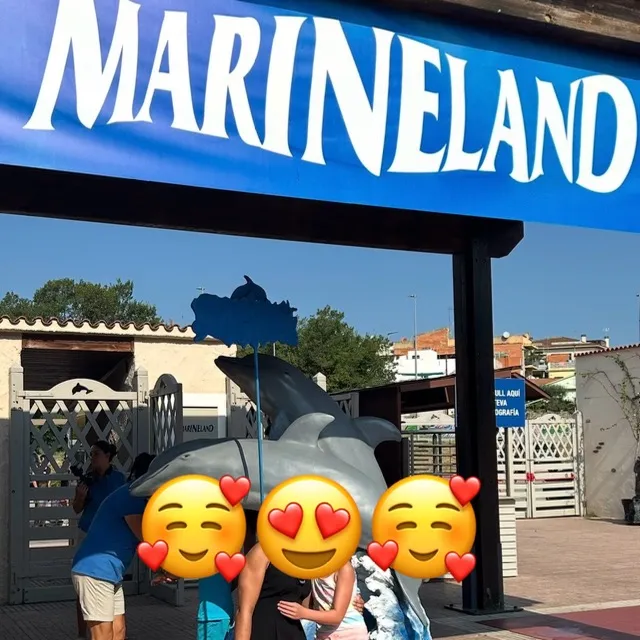 Dernière étape a partager le parc avec les dauphins