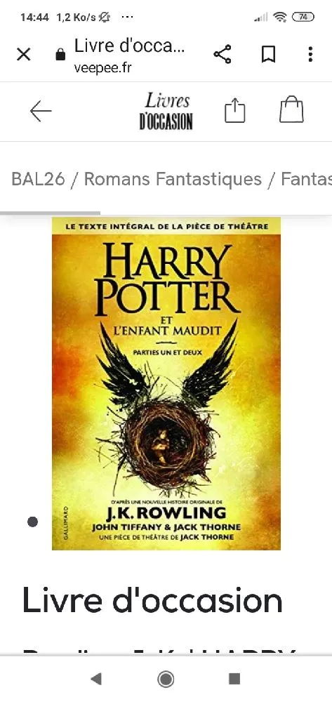 Un incontournable Harry Potter