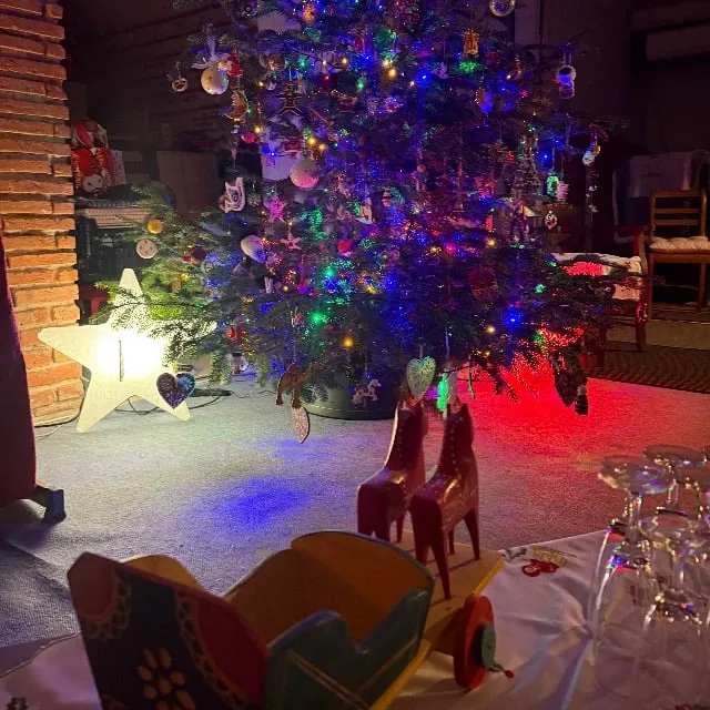 Mon beau sapin 🎄🎄