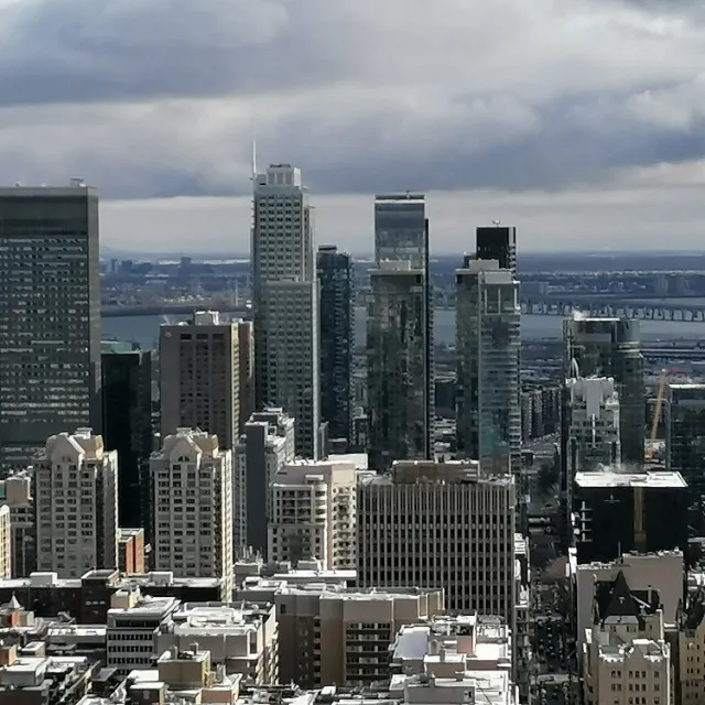 Découvtir Montreal en hiver