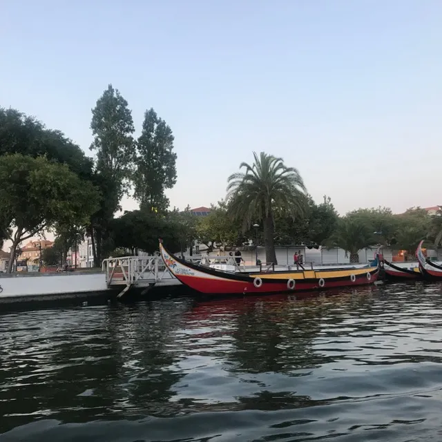 Aveiro appelé aussi la petite Venise du Portugal