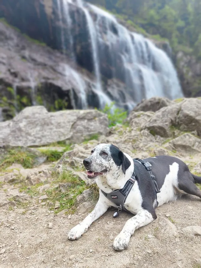 Cascade d'Ars en Ariège