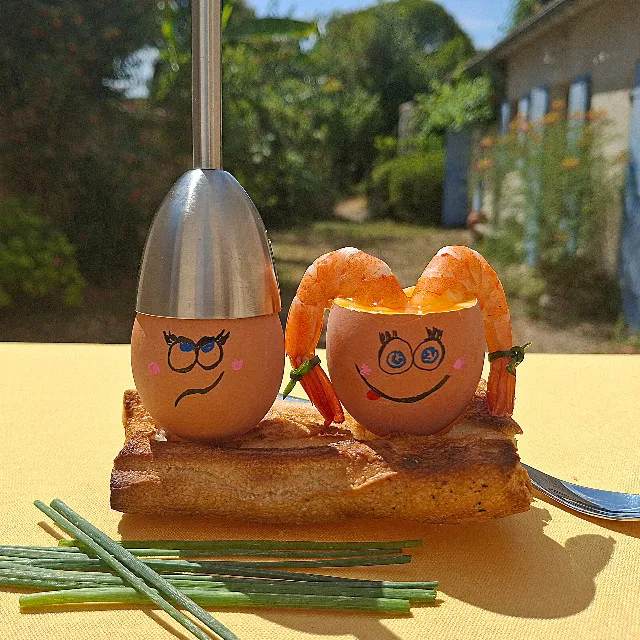 Pour les Toqués des œufs 🐔