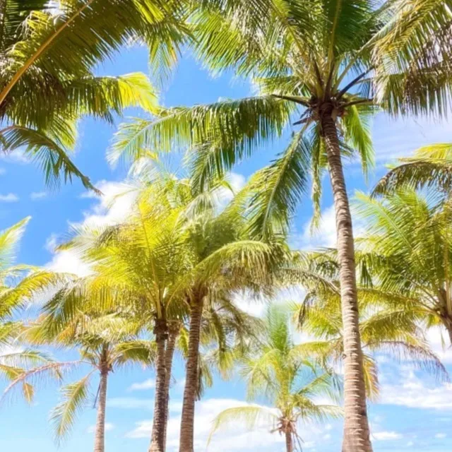 Les Philippines