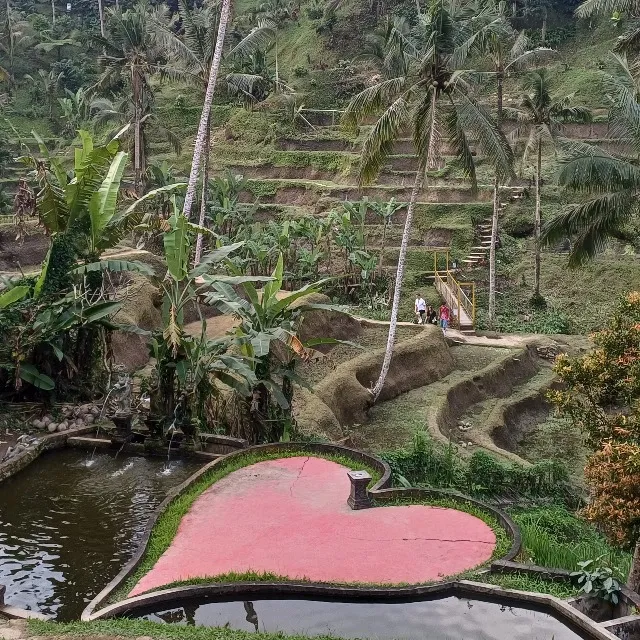 Dépaysant et ressourçant : BALI