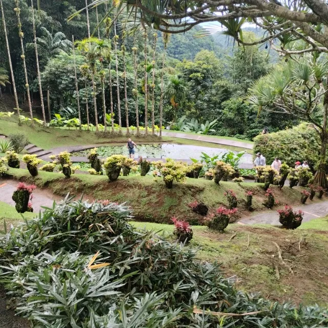 Magnifique jardin en Martinique