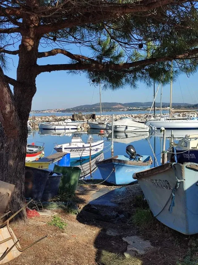 Vie dans le sud ♥️
