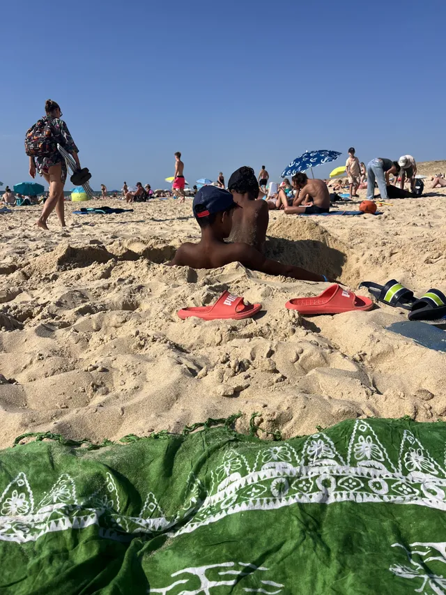Les landes avec Sandaya