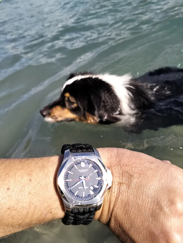 Montre Victorinox