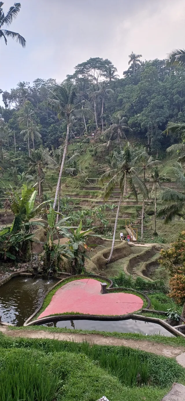 Dépaysant et ressourçant : BALI