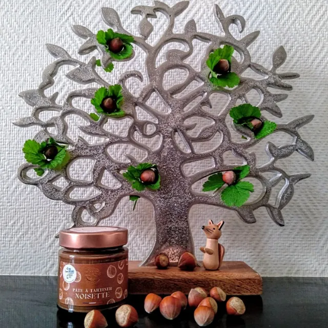 O Délices de Lucas 🐿️