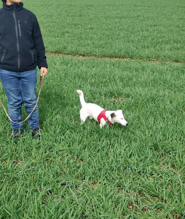 Balade dominicale à la campagne