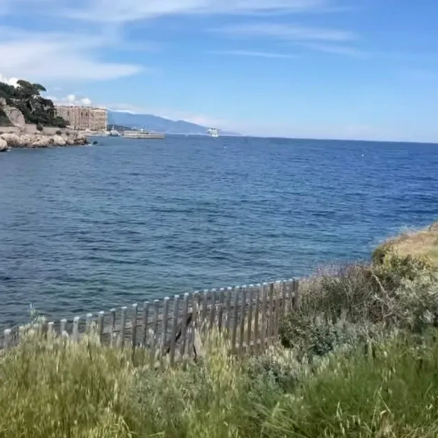 Cap d'ail