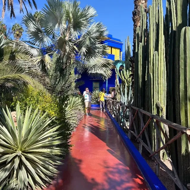 Le jardin de Majorelle Marrakech