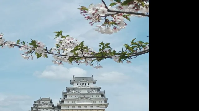 Château d'Himeji / Japon