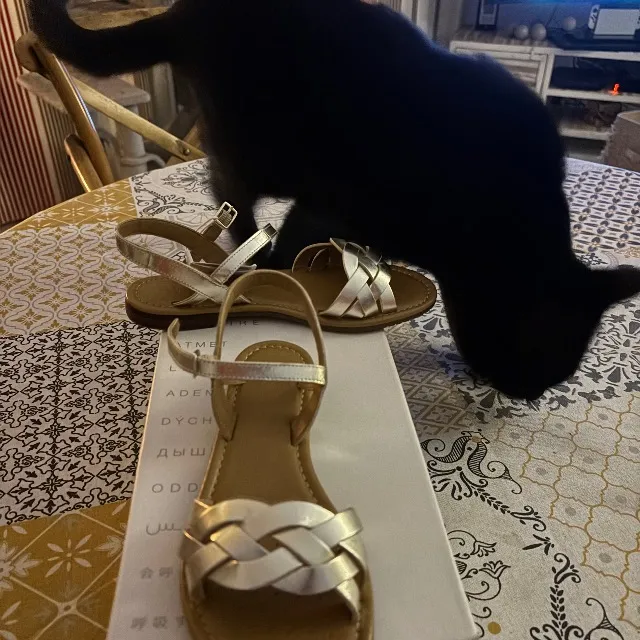 Sandale enfant GEOX avec mon chat en cadeau sur la photo!