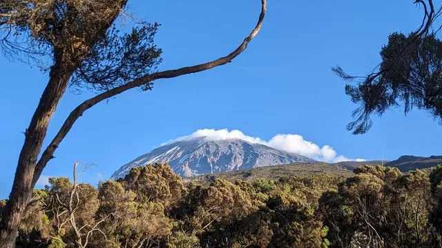 Trek du Kilimandjaro