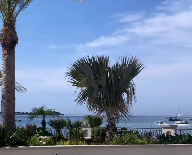 Palm beach Cannes