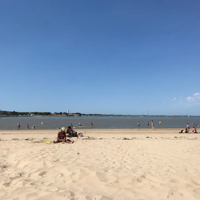 Magnifique