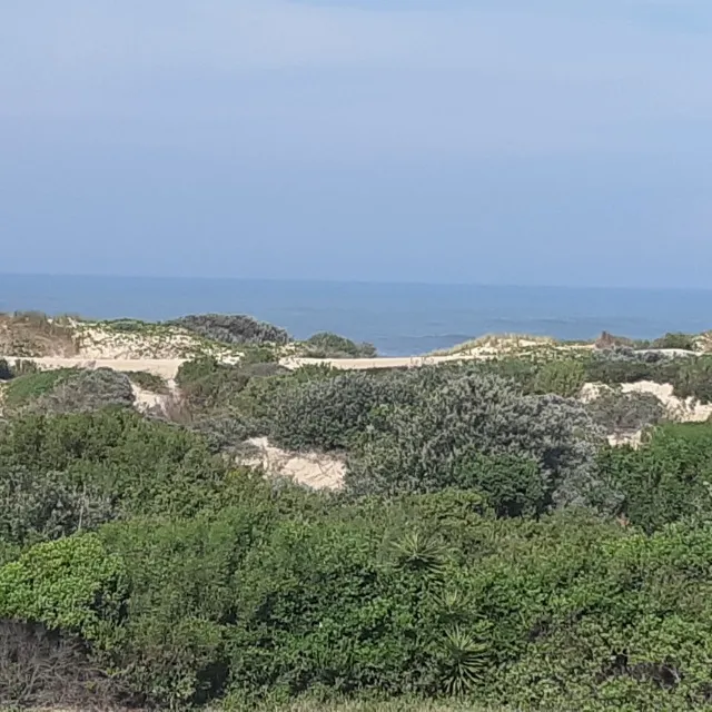 Port Alfred
