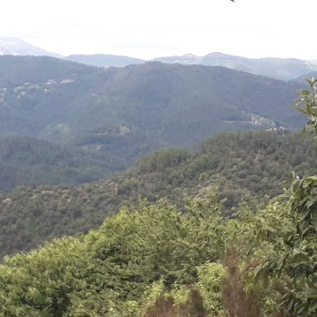 Les cévennes