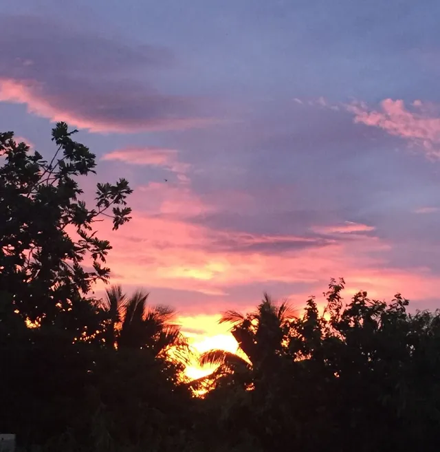 Île Maurice 🇲🇺 mon Paradis