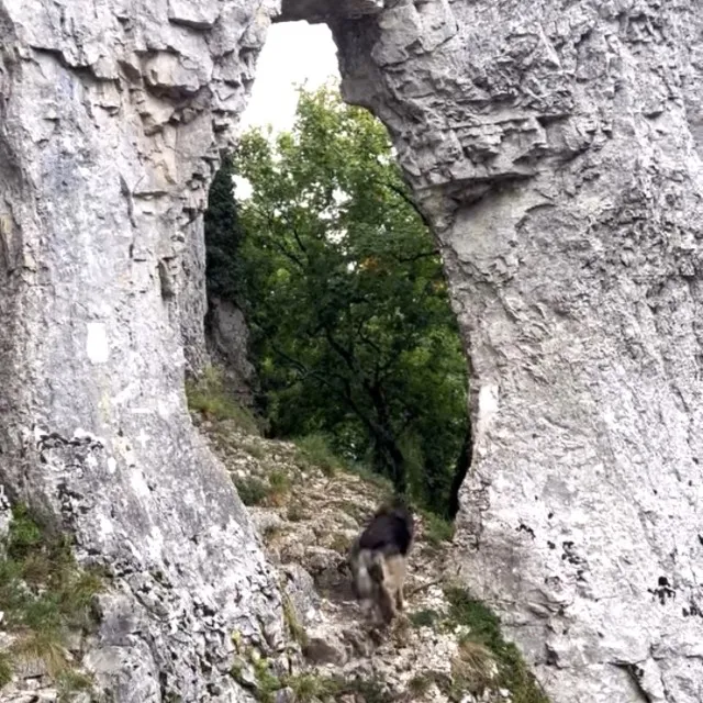 La Roche d'anse