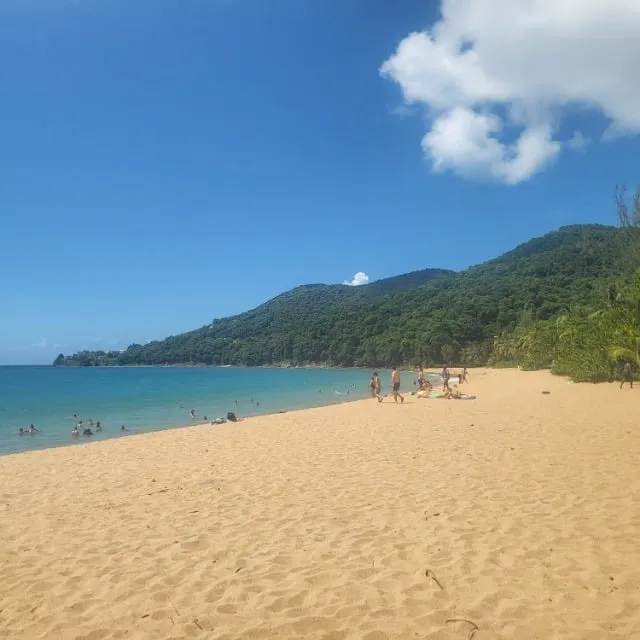 Vacances de rêve en Guadeloupe