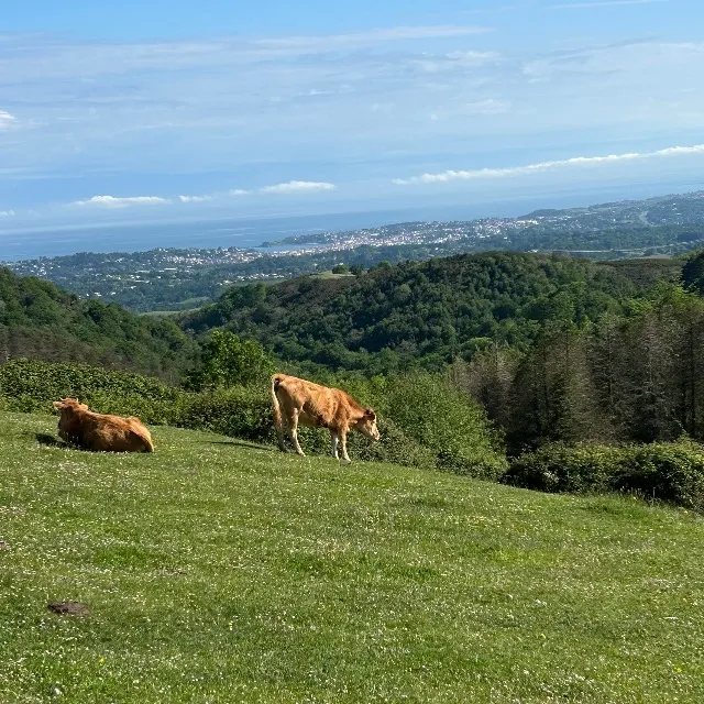 Le pays basque