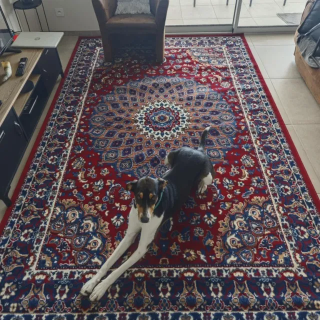 Tapis O&Ko superbe! 🥰🤩
