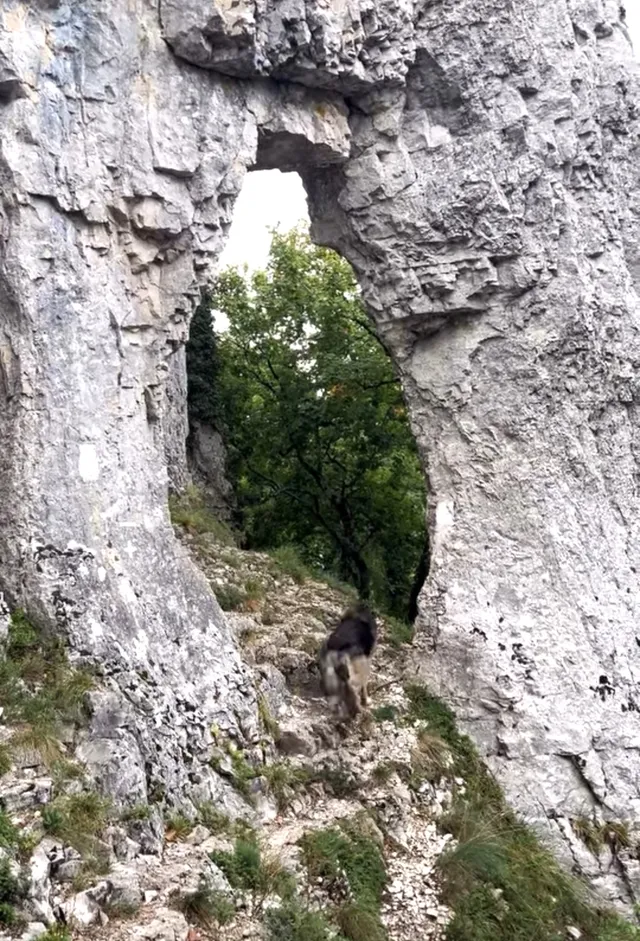 La Roche d'anse
