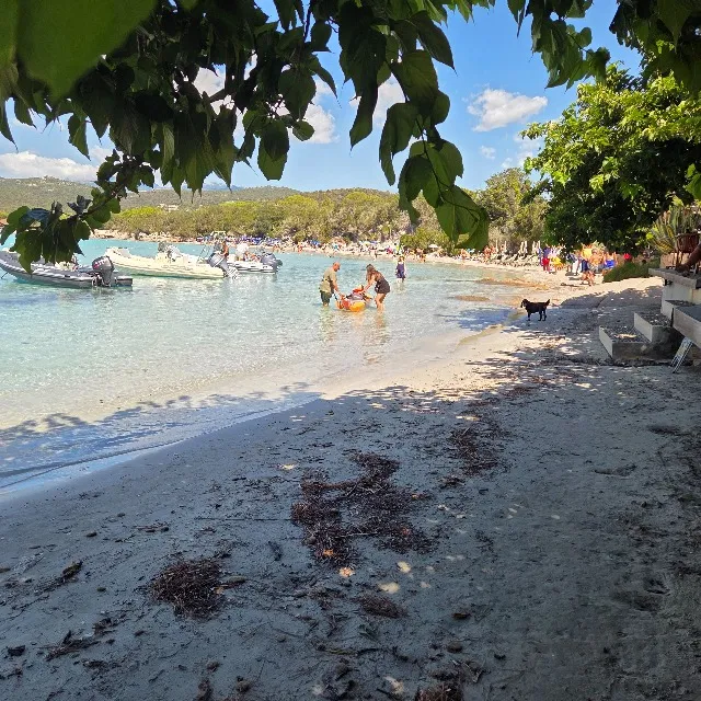 La corse