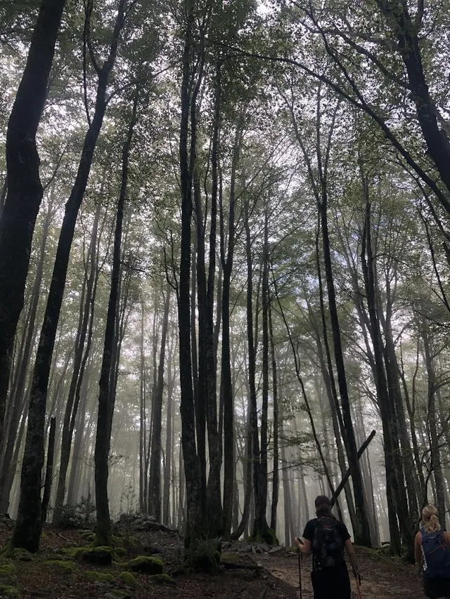 La photographie, notamment dans la nature