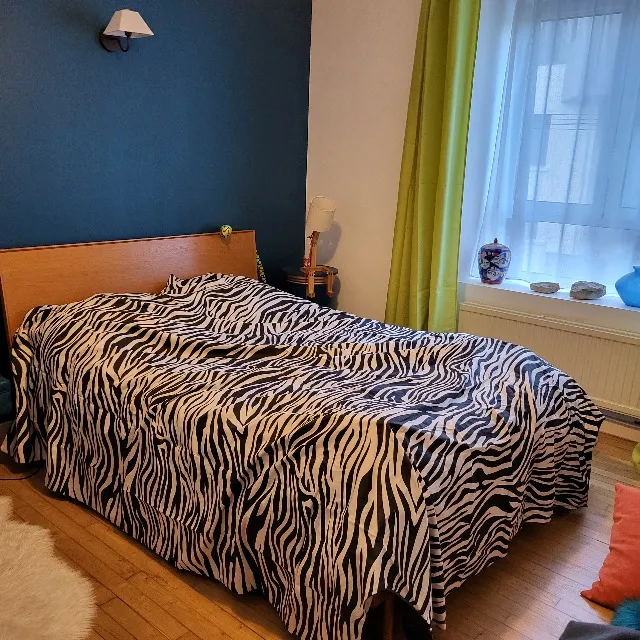 Parure couette chevignon