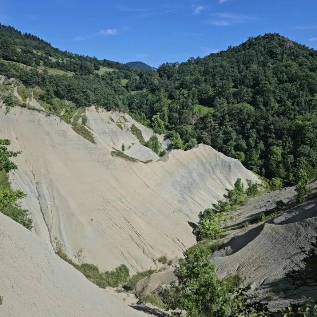 HAUTE LOIRE