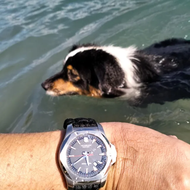 Montre Victorinox