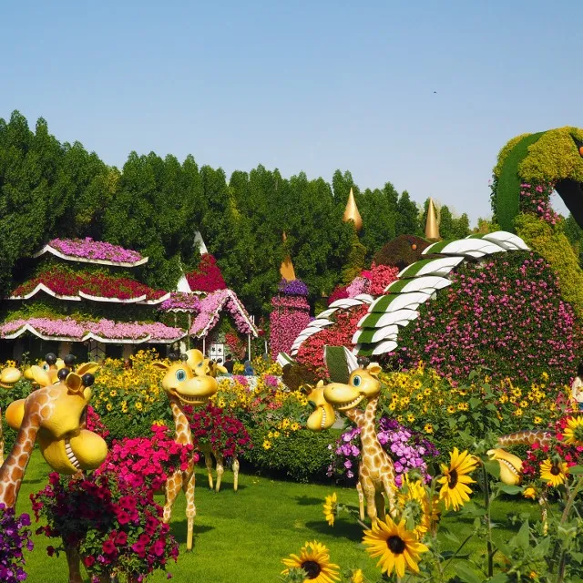 Dubai-Miracle garden