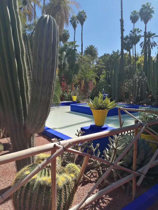 Maroc Jardin de Majorelle