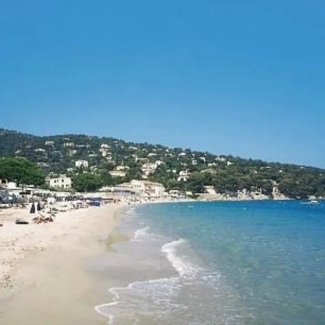 Le lavandou