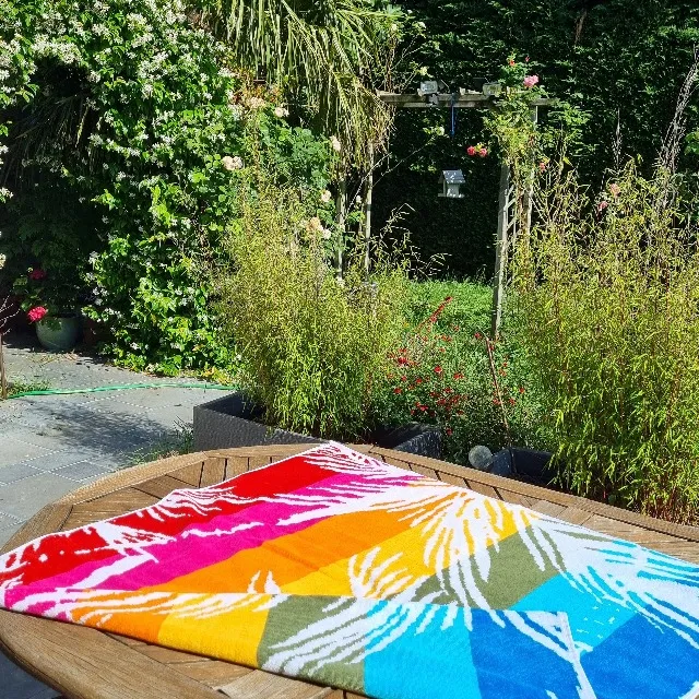 Lézarder au soleil !