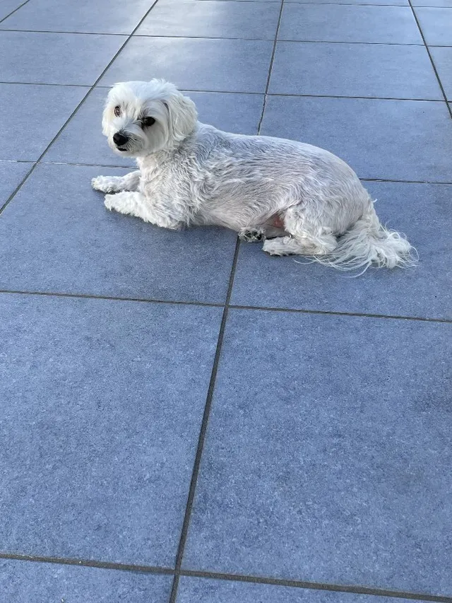 Notre petit messi , très attachant