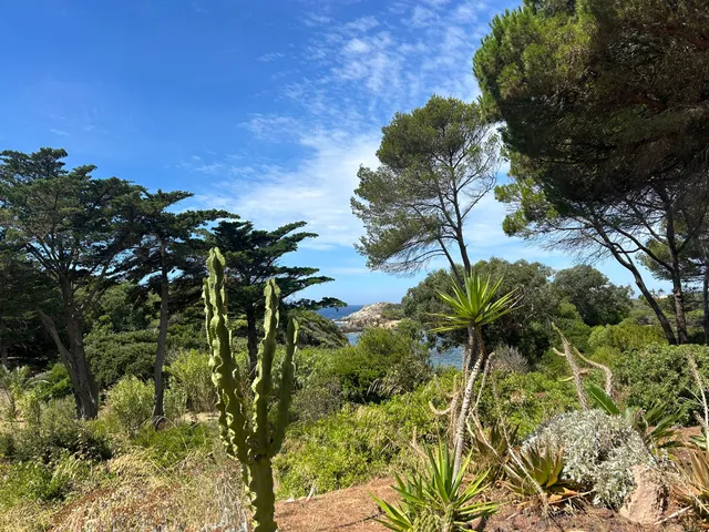 Porquerolles