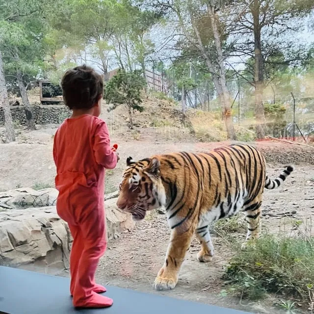 Week-end de rêve dans un parc animalier dans le Sud de la France