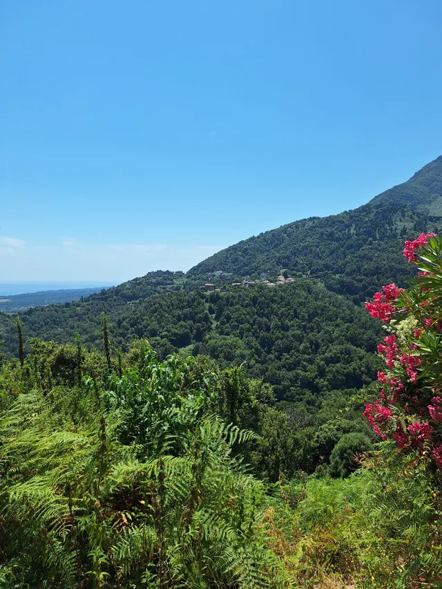 La Corse authentique
