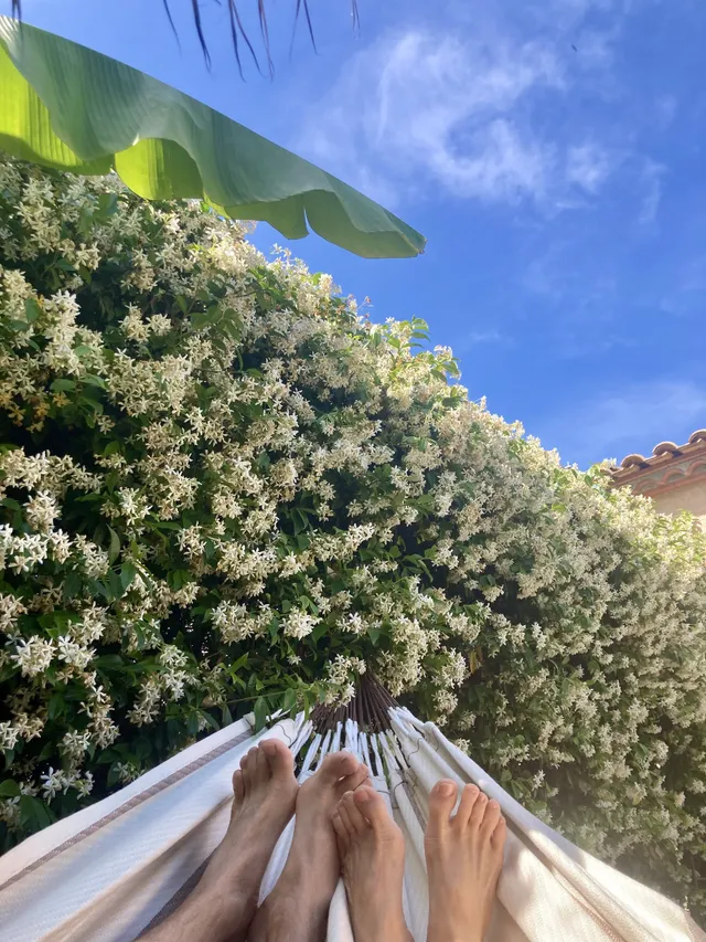 Vive la Siesta !