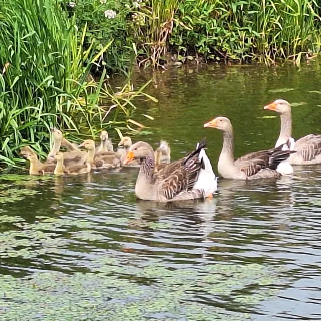Parenthèse slow life en péniche